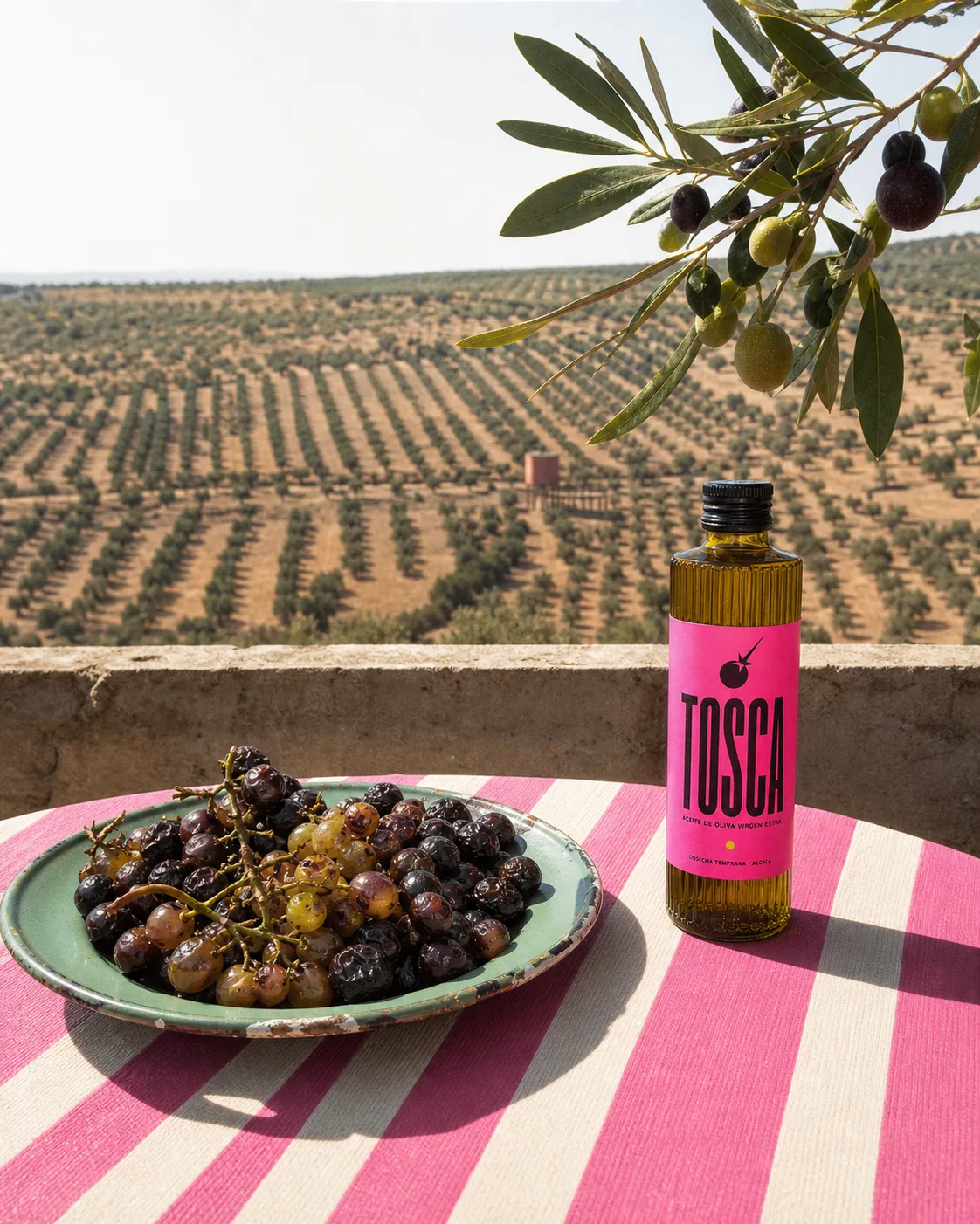 Botella TOSCA en una mesa frente a un paisaje de olivares